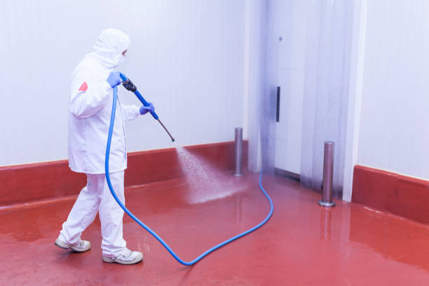 Paint Preparation in Massapequa Park, NY