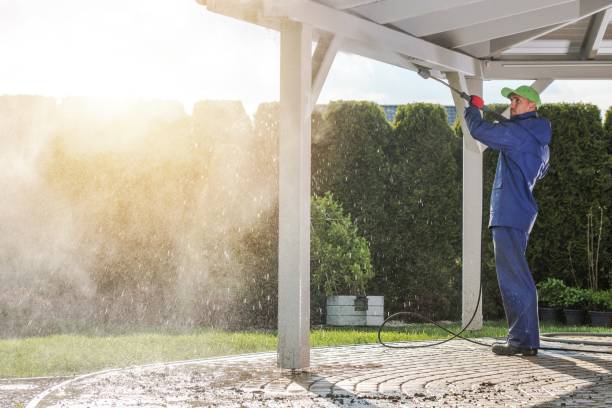 Best Soft Washing  in Massapequa Park, NY
